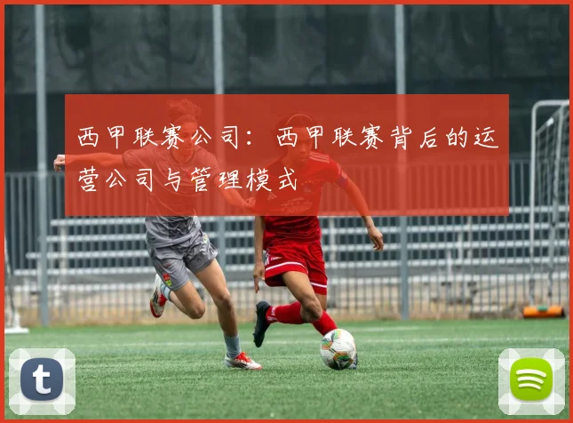 西甲联赛公司：西甲联赛背后的运营公司与管理模式