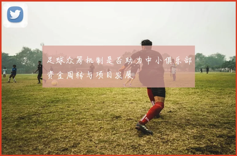 足球众筹机制是否助力中小俱乐部资金周转与项目发展