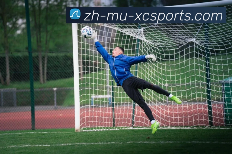 杏彩体育全站App